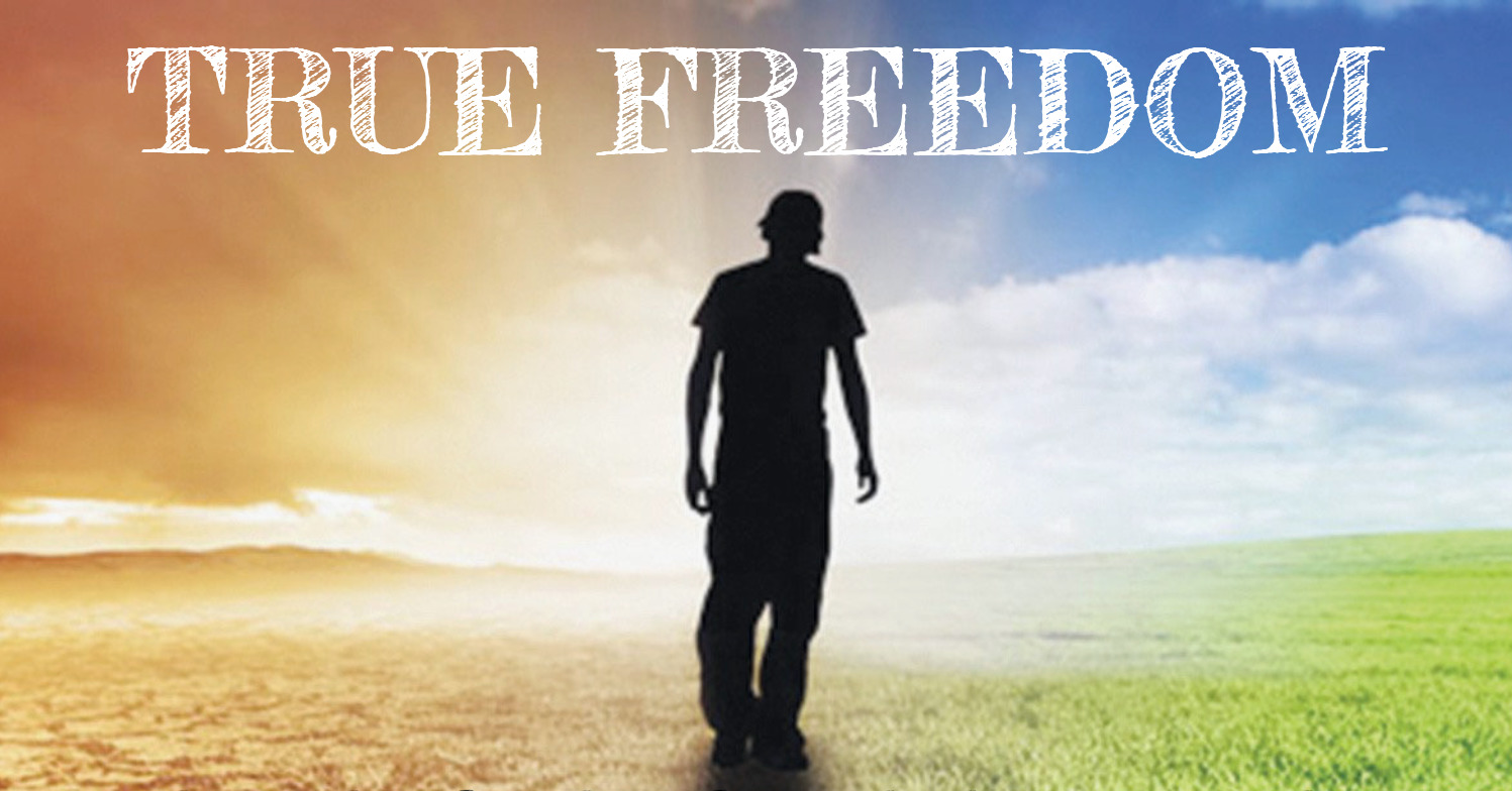 True Freedom The Book